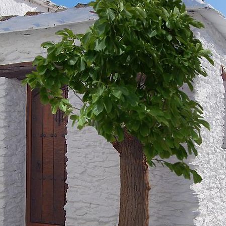 Casa El Rincon Del Angel Villa Bubion Ruang foto